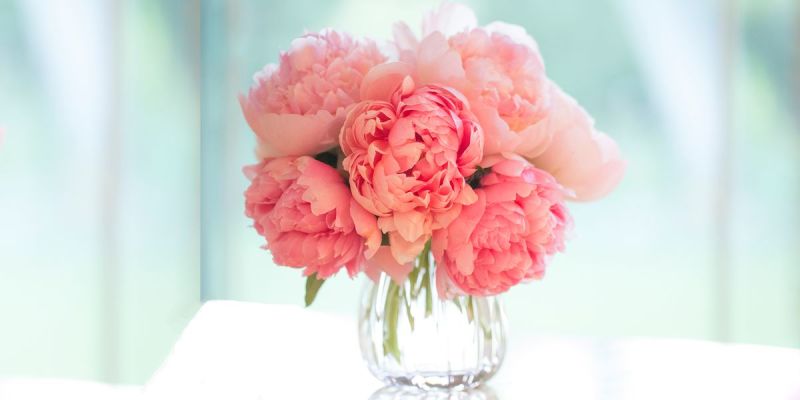 pink-flowers-header-1512582155